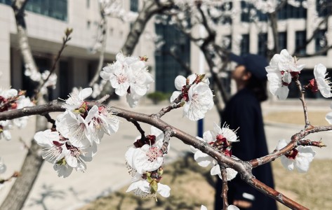 春暖花開，不負(fù)陽(yáng)光